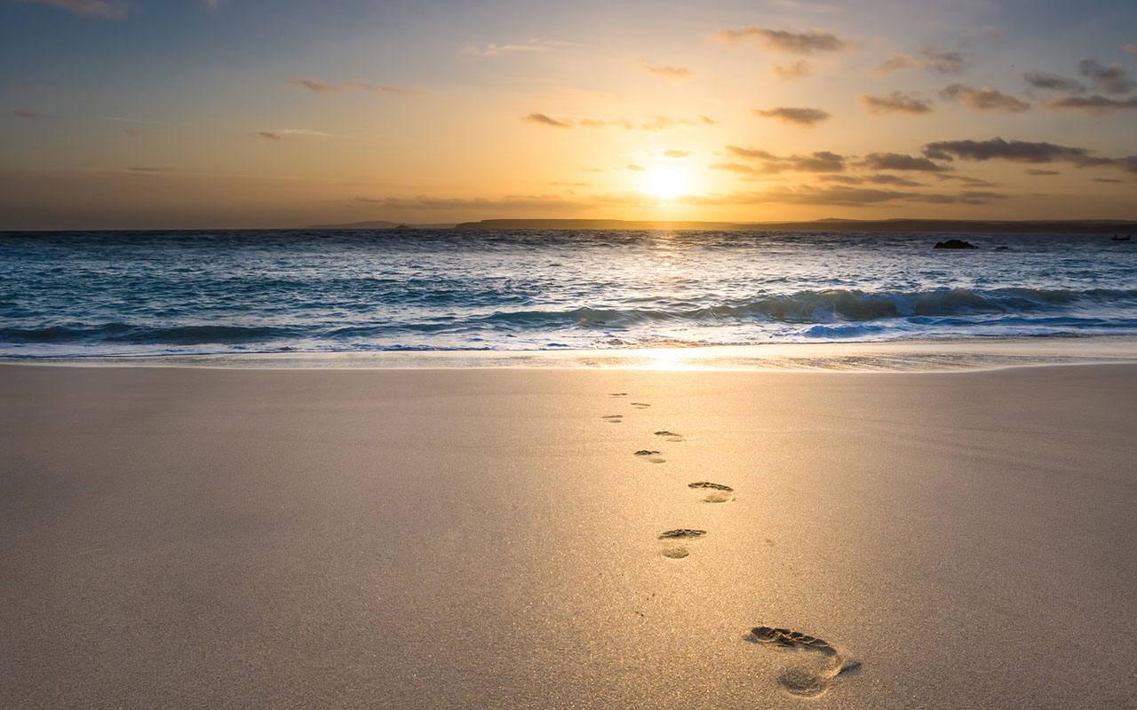 Marie-Dominique Taillon seated at her desk